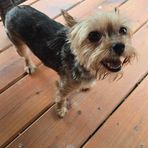 Zoe Page - Facebook