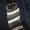 Zöey - @zoey_der_penner - TikTok