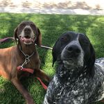 Pepper & Zoè - @pepper_and_zoe - Instagram