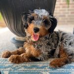 Zoe Pepper - @zep.the.doodle - Instagram