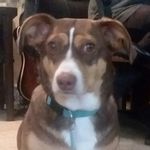 Zoe Pepper - @pepper2407 - Instagram