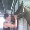 Zoe Petersen - @1happyhorse - TikTok