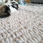 Zoe Platt - @floofyblankies - Instagram