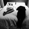 potkin1234556789 - @zoepotkin - TikTok