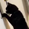 zoe.pollard7 - @zoe.pollard7 - TikTok