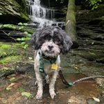 Zoë Pollock - @ruperttheadventurer - Instagram