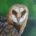 Zoe Pollock Studio - Facebook