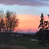 Zoe Poole - @zoepoole1 - TikTok