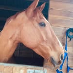Zoe Porter - @zippster77 - Instagram