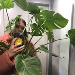Zoe Pringle - @zoe_quaver - Instagram