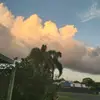 zoepringle8 - @zoepringle8 - TikTok