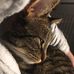 Zoe Quist - Facebook