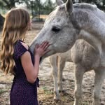 Zoe Richmond - @horses_of_dovewood - Instagram
