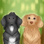 💕ZOE & RILEY | PUPFLUENCERS 💕 - @zoe_riley_dashing_dachshunds - Instagram