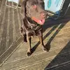 Zoe Riley - @zoeriley27 - TikTok