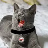 the.roach.in.zoes.po - @the.roach.in.zoes.poussy - TikTok