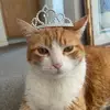zoë - @zoeleahrobles - TikTok