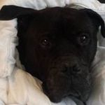 Zoe Rodgers - @rodgerszoe - Instagram