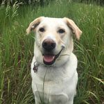 Miss Zoey Rozcoe - @miss.zoey_roscoe - Instagram