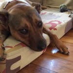 Zoe.rules - @zoe.rules7125zoe - Instagram