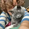 zoestein2424 - @zoestein2424 - TikTok
