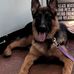 Zoe Thomas - Facebook