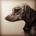 Zoe Wall Art - Facebook