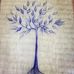 Zoe Wall Designs - Facebook