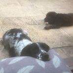 Zoe Waller - Facebook