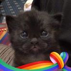 Zoe Walton - Facebook