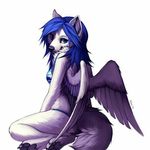 ➰Zoe Wolf➰ - @zoe_the_furry_wolf_ - Instagram