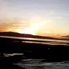 Zoe Xavier7892 - @zoexavier7892 - TikTok