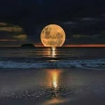 Zoha Awan 786 - @zohaawan786 - Instagram