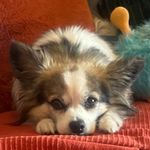 Zoltán Bagi - @zoltan.bagi.7543 - Instagram