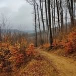 Zoltán Berta - @zoltanberta8 - Instagram