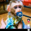 Zoltan Berta - @zoltan.berta7 - TikTok