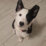 Zoran Kovačić - @zoran.kovacic.zk - Instagram