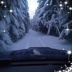 Zsolt Molnar - @zsolt.molnar.3954 - Instagram