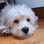 Bailey Zulaika Pingos - @bailey_zulaika - Instagram