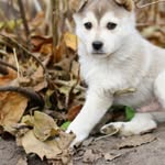 Zula Jones - @kuvalismaria24427 - Instagram