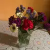 zuleimalopez960 - @zuleimalopez960 - TikTok