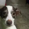 Luna 🌒 hermosa bb - @zuleimanarvaez69 - TikTok