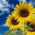 Zuleima Torres - Facebook