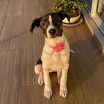 Zuli - @zuli_ramos21 - Instagram