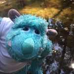 James Zullivan - @jameszullyvan - Instagram