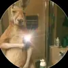 zully moreno - @zullymoreno79 - TikTok