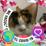 Zully Moreno - @zully.moreno.908 - Instagram