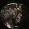 Zully Silva - @zullysilva0 - TikTok