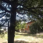 Zulma Carolina Maciel - @laarboladacalamuchita - Instagram