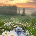 Salma Belle - Facebook